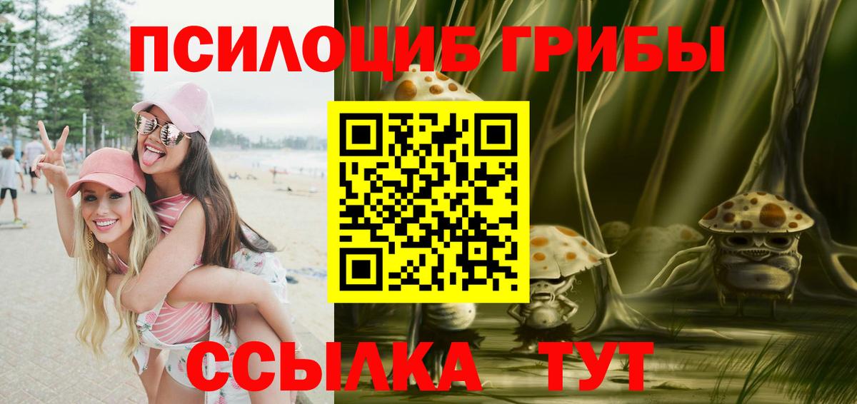 где купить наркотик  Галлюциногенные грибы Magic Shrooms  Вход с VPN  Аша 